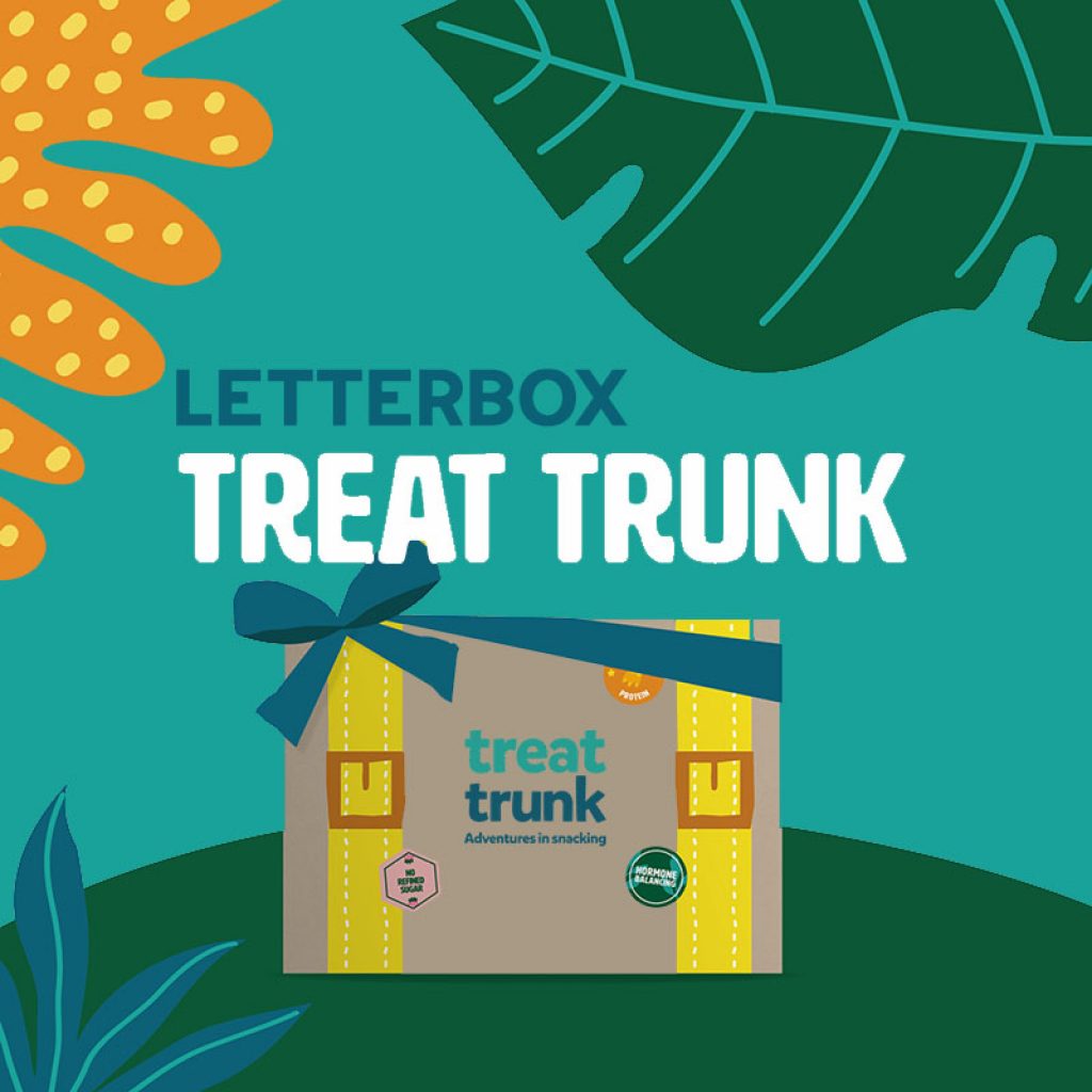Letterbox Treat Trunk Healthy Vegan Gift Snack Box