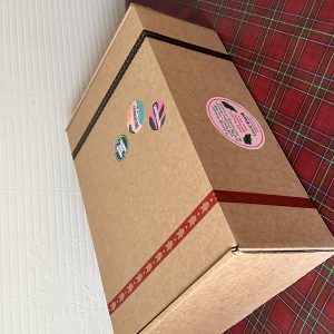 Christmas Special – All Vegetarian Snack Box With Free Gift Wrap